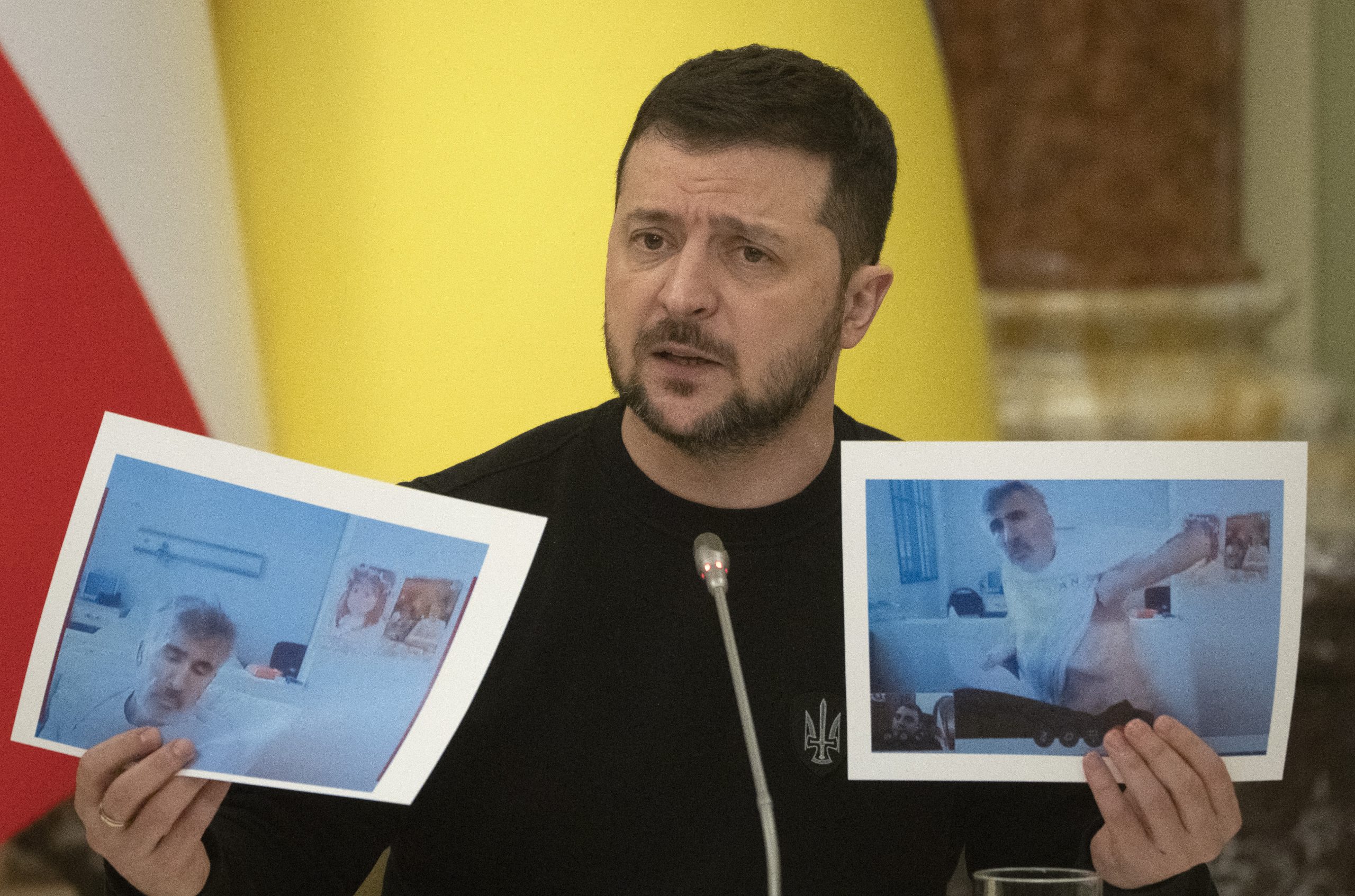 Зеленский призвал Грузию передать Саакашвили Украине